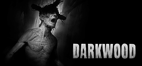 Darkwood PC Controls