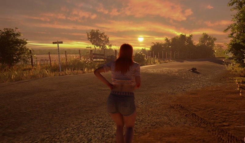 Controls for The Texas Chain Saw Massacre Texas Chain Saw Game Sunset